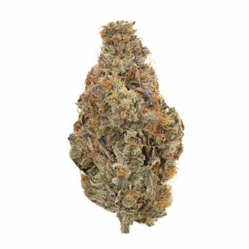 Whistler Cannabis Co. : Organic Bubba Kush