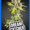 Jbuds : Dream Catcher Pre-Rolls