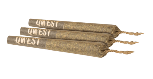 Qwest : Sour Tangie Diamond Infused Pre-Rolls