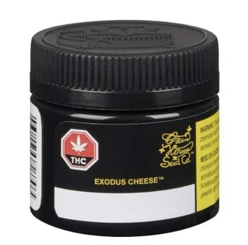 Green House Seed Co.: Exodus Cheese