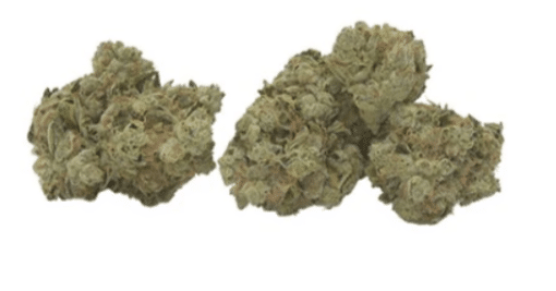 Bc Cannabis Inc : Golden Haze Dry Flower