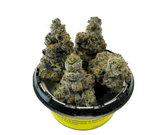 Bc Weed Co.: Gsc