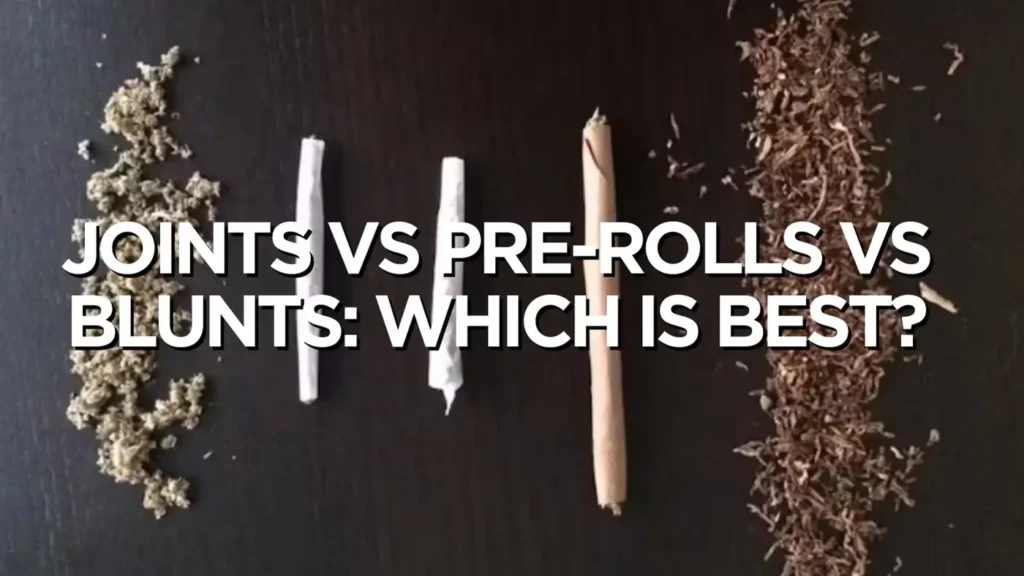 joints vs pre rolls vs blunts which is best 1