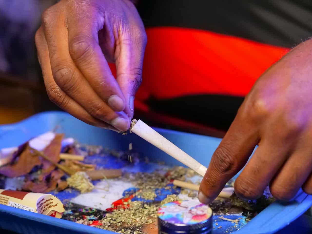 Person Filling Up Blunt Rolling Paper With Ground Cannabis Flower