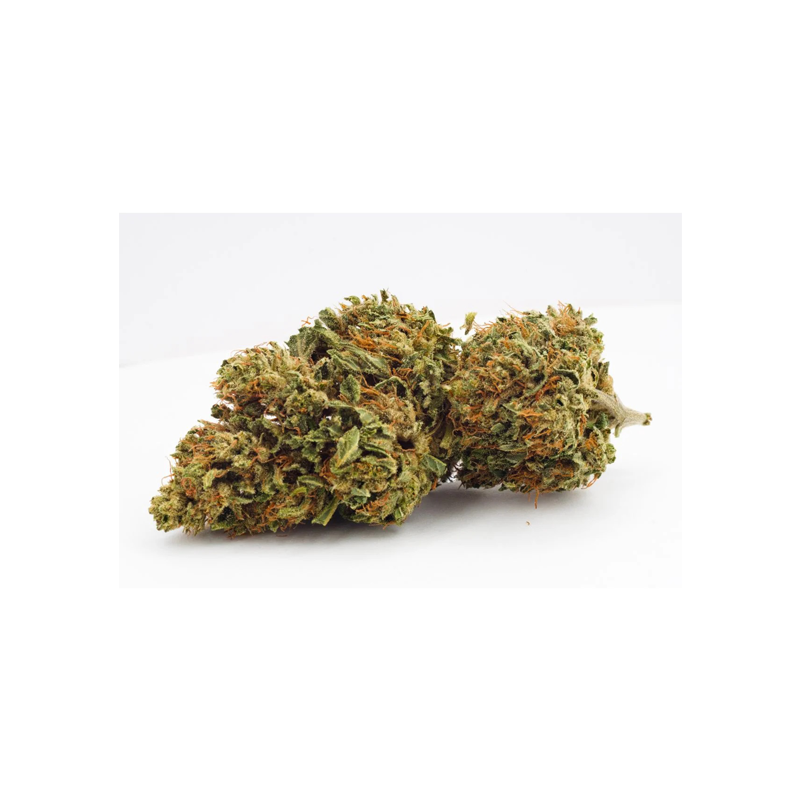 Grown Here Farms : CERTIFIED ORGANIC CBD FLOWER (UMPQUA) 1 Grown Here Farms CERTIFIED ORGANIC CBD FLOWER UMPQUA A