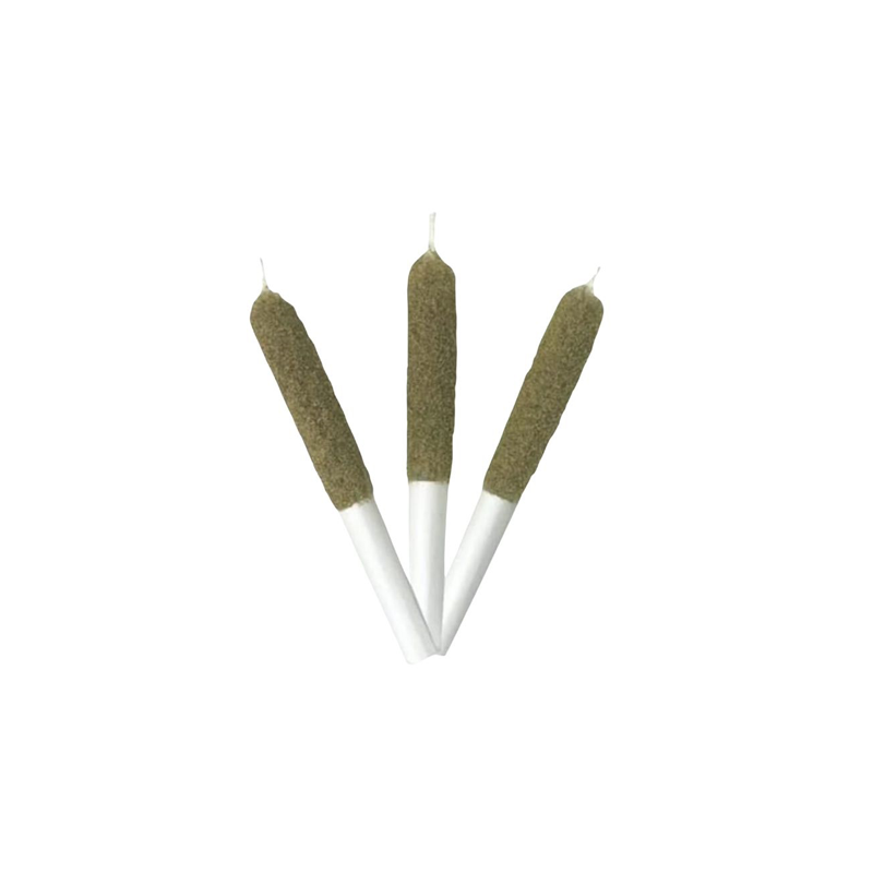 Days & Infused : PEPPERMINT MOCHA INFUSED PRE-ROLL 1 Days & Infused PEPPERMINT MOCHA INFUSED PRE-ROLL A
