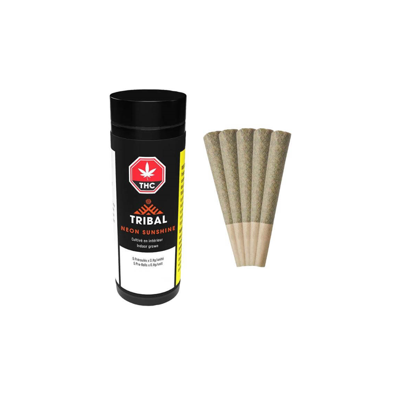 Tribal : NEON SUNSHINE PRE-ROLLS 3 Tribal NEON SUNSHINE PRE-ROLLS C