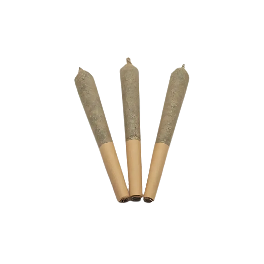 Papa Joe's Organics : PB SORBET LTO PRE-ROLLS 1 Papa Joe's Organics : PB SORBET LTO PRE-ROLLS