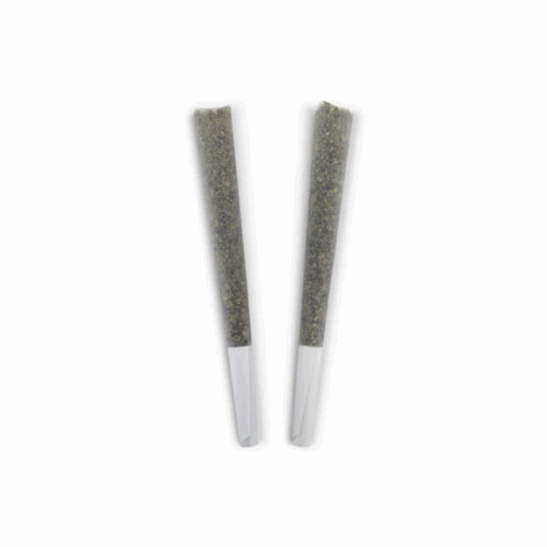 BC Doobies : BRAZILIAN HAZE PRE-ROLLS