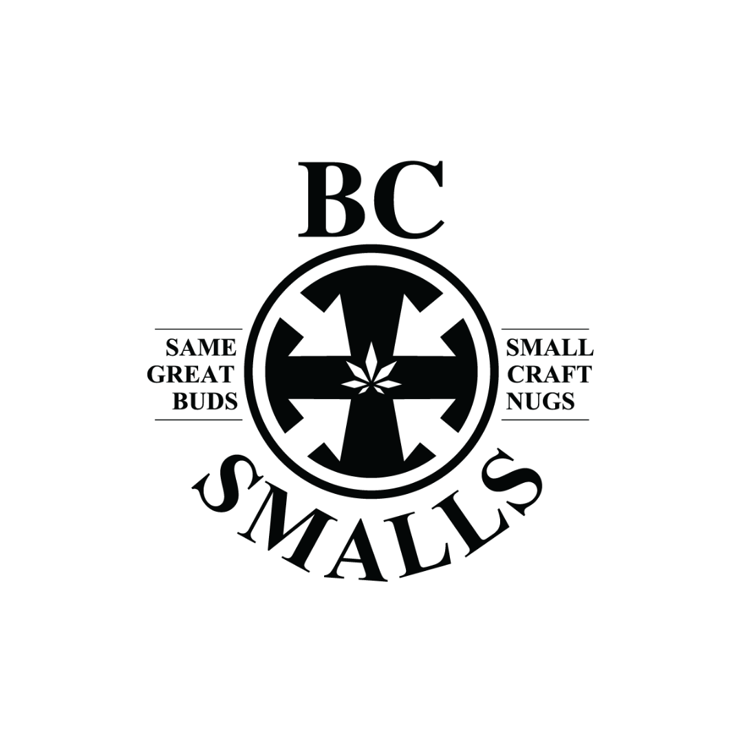 BC Smalls : HUCKLEBERRY VELVET SMALLS 3 BC Smalls : HUCKLEBERRY VELVET SMALLS - Image 3