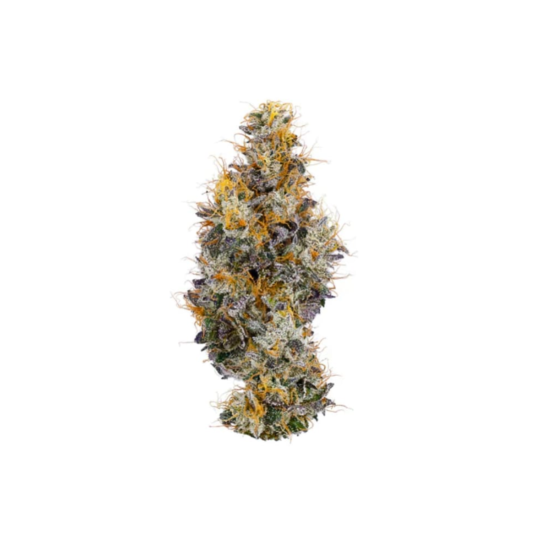 Coast Mountain Cannabis : BC ORGANIC VANILLA FROSTING LTO 1 Coast Mountain Cannabis : BC ORGANIC VANILLA FROSTING LTO