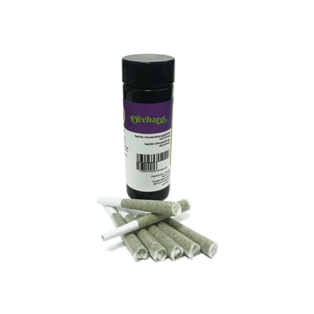 Orchard : BUSHELS SATIVA (MOBY DICK) LTO PRE-ROLLS 3 Orchard : BUSHELS SATIVA (MOBY DICK) LTO PRE-ROLLS - Image 3