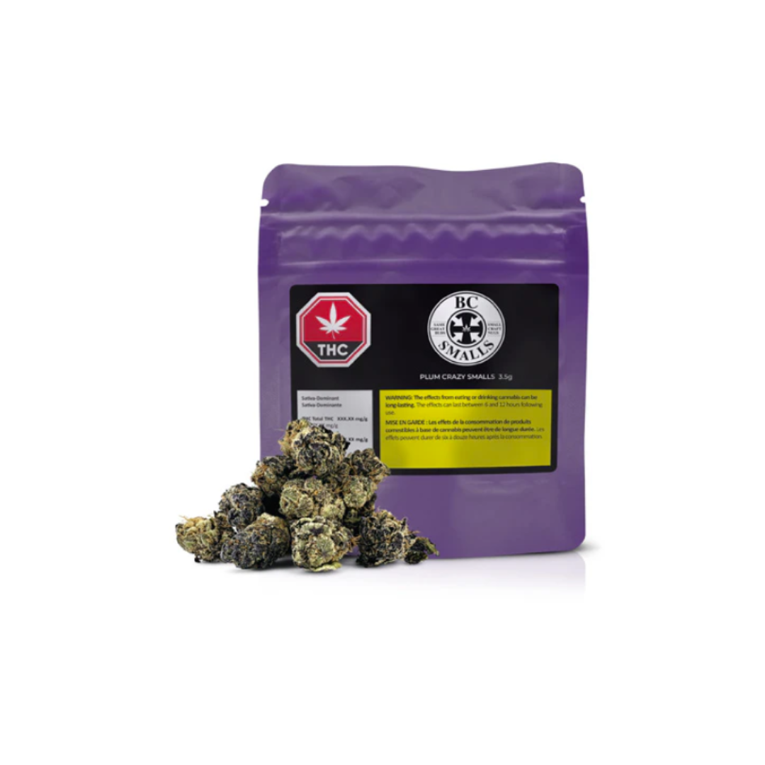 BC Smalls : PLUM CRAZY SMALLS 2 BC Smalls : PLUM CRAZY SMALLS - Image 2