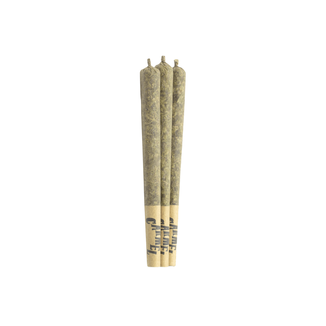 Carmel : ZEBRA STRIPES PRE-ROLLS 1 Carmel : ZEBRA STRIPES PRE-ROLLS