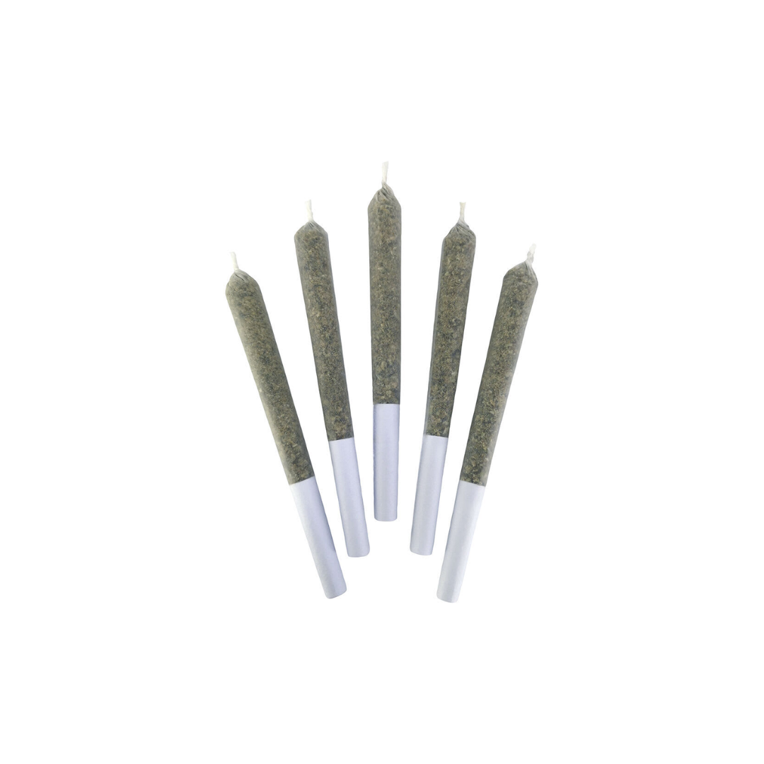 Sitka Legends : CHERRY CHATTER PRE-ROLLS 1 Sitka Legends : CHERRY CHATTER PRE-ROLLS