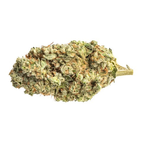 The Original Fraser Valley Weed Co. : BLACK SHERB 2 The Original Fraser Valley Weed Co. : BLACK SHERB - Image 2
