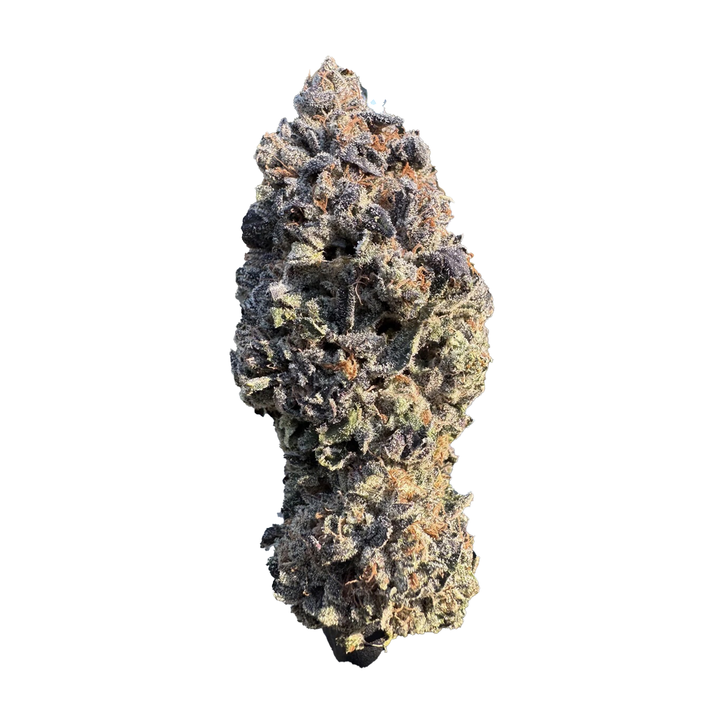 Salt Spring Magic : PURPLE PUZZLERS 3.5G 2 Salt Spring Magic : PURPLE PUZZLERS 3.5G - Image 2
