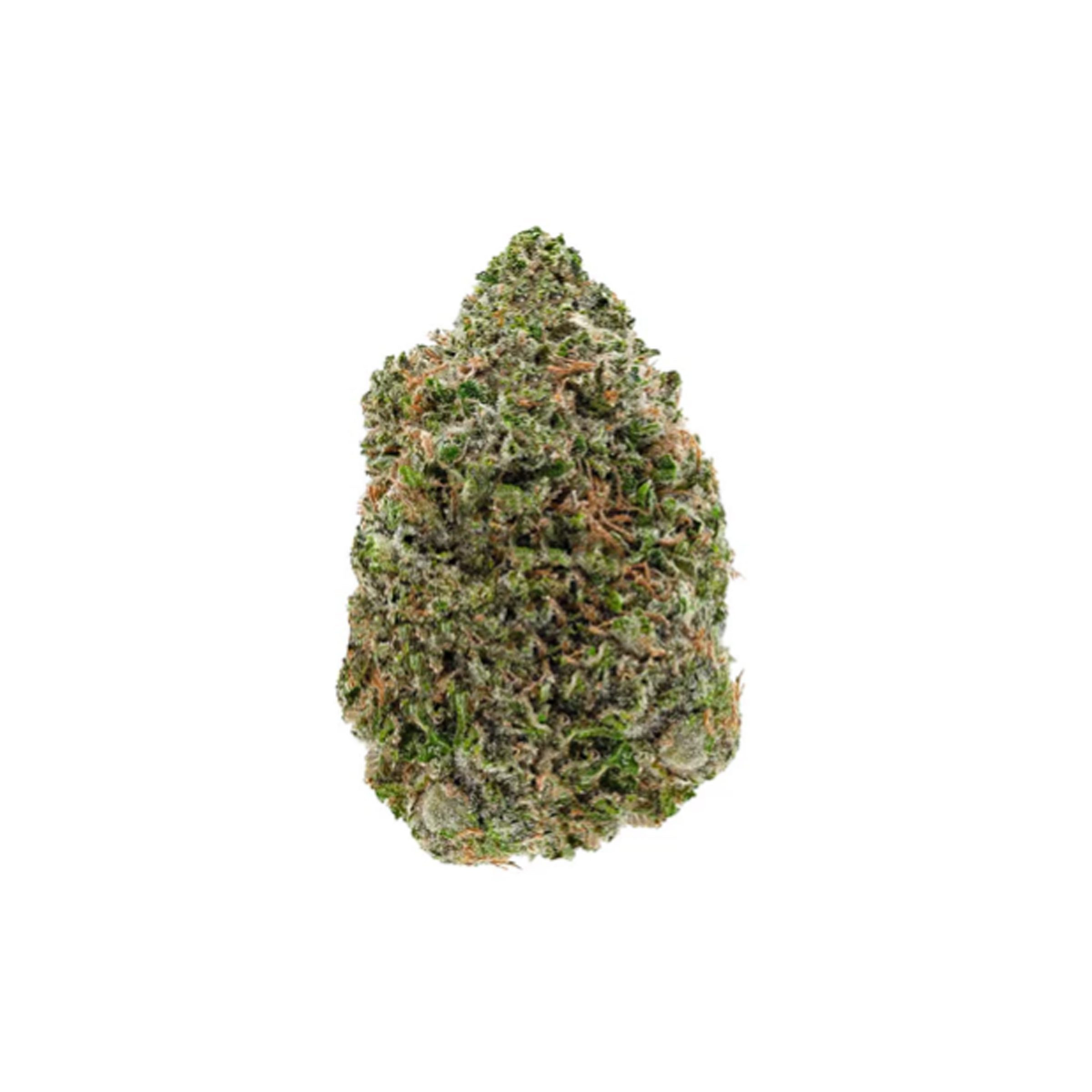 Amani Craft Cannabis : ROCKSTAR LTO 1 Amani Craft Cannabis : ROCKSTAR LTO