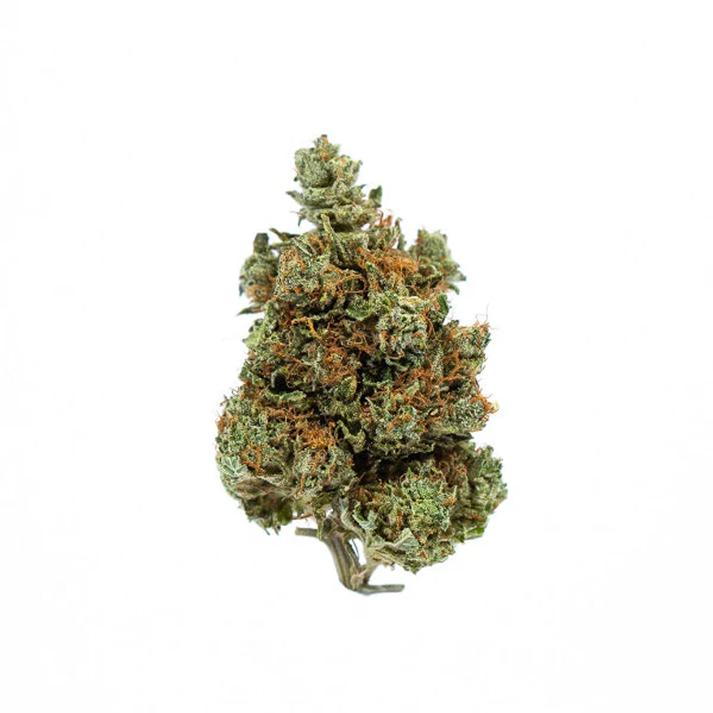 Fort 20 Farms Inc : BUBBA KUSH 1 Fort 20 Farms Inc : BUBBA KUSH