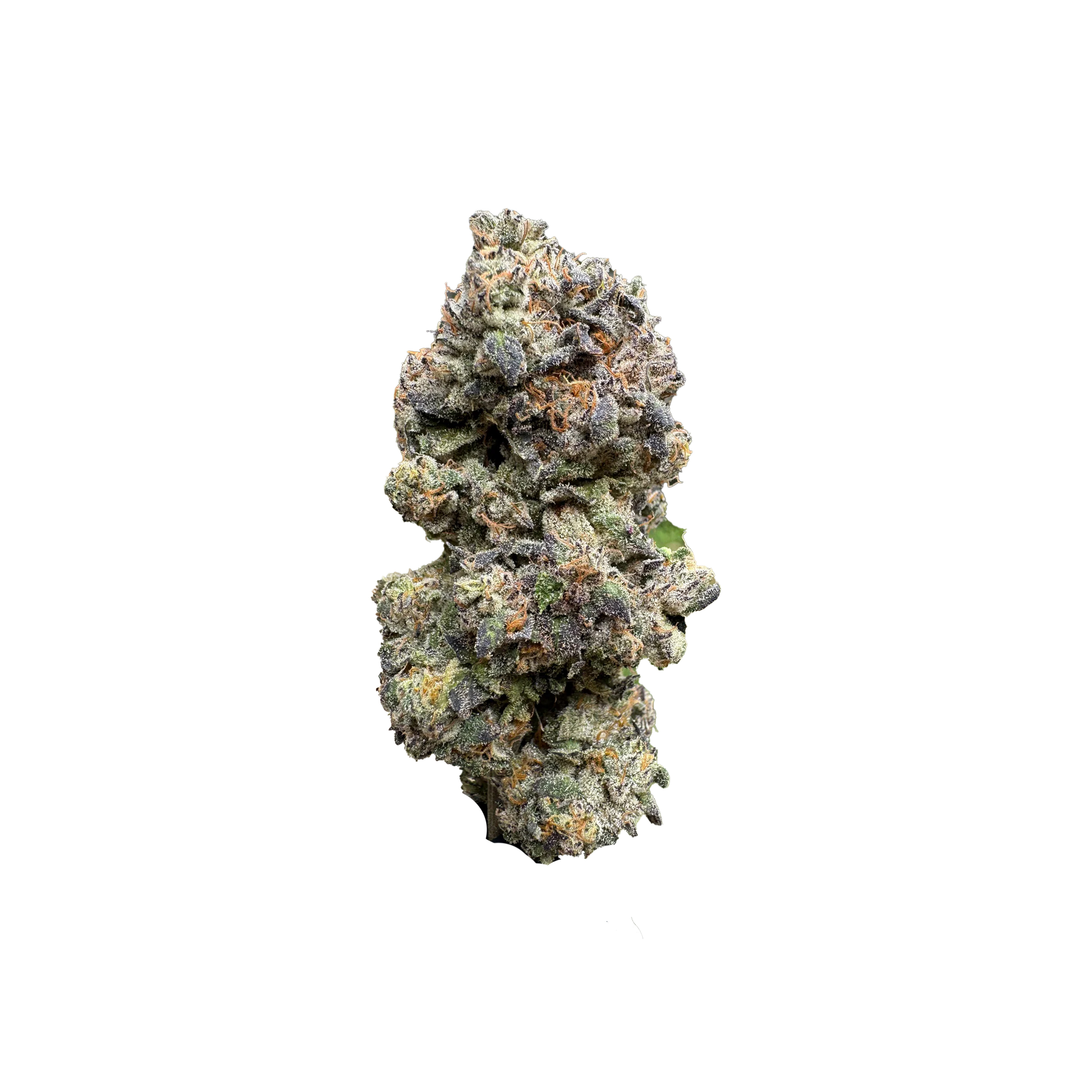 SaltSpring Magic : GUZZLERZ No.6 1 SaltSpring Magic : GUZZLERZ No.6