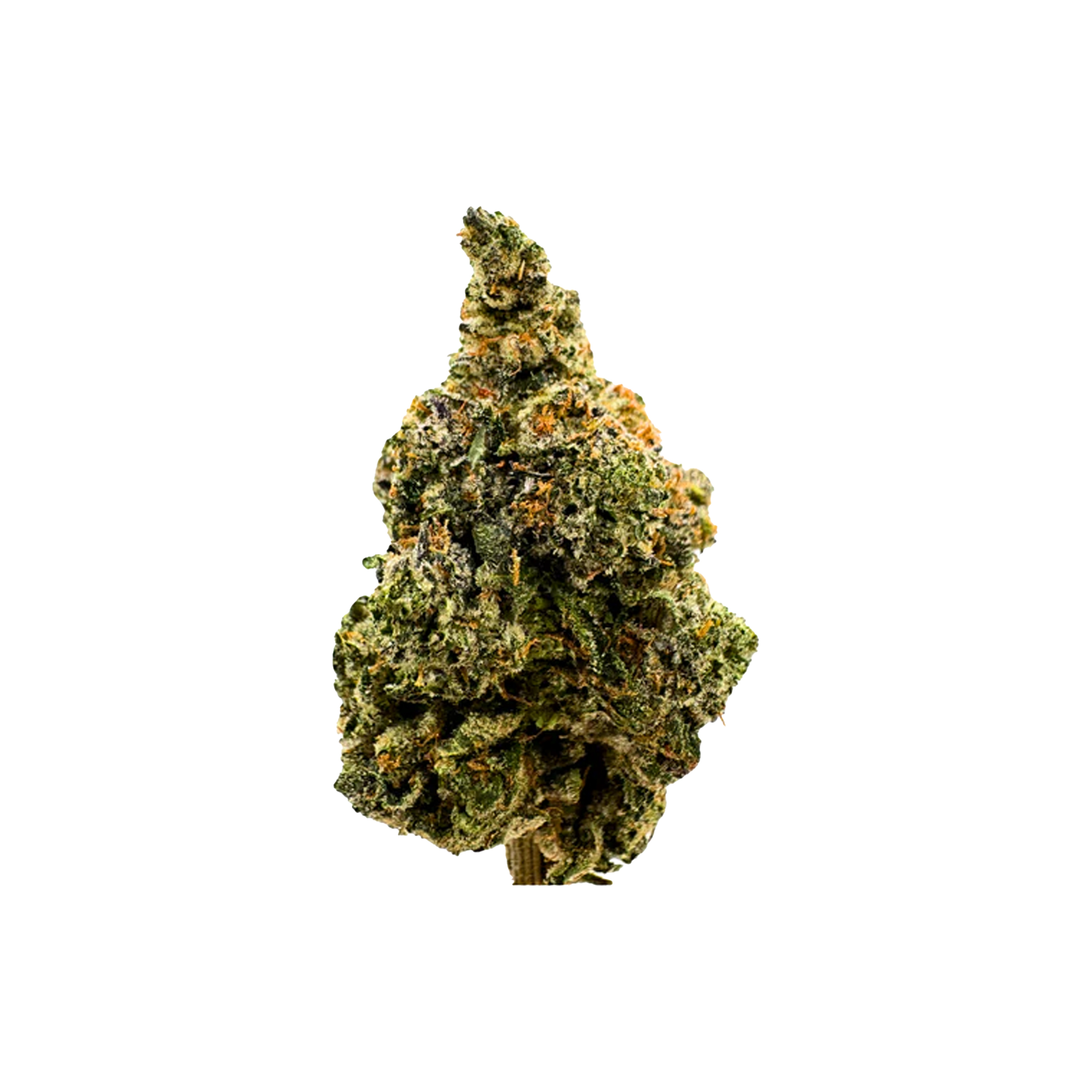 BC Weed Co. : WEST COAST OG LTO 1 BC Weed Co. : WEST COAST OG LTO