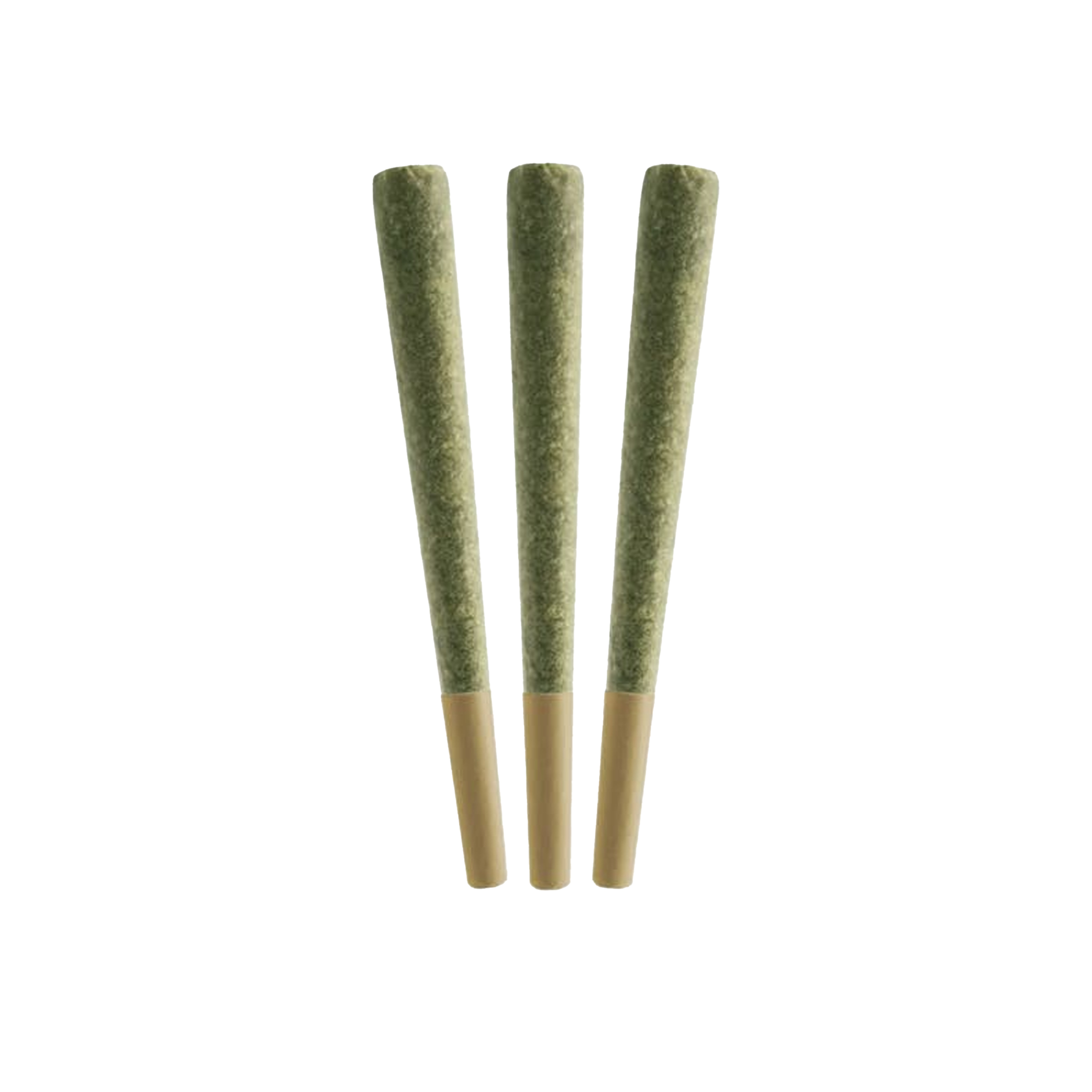 PINEAPPLE BUDS - PINEAPPLE SODA PR - 3 X 0.5G 1 PINEAPPLE BUDS - PINEAPPLE SODA PR - 3 X 0.5G