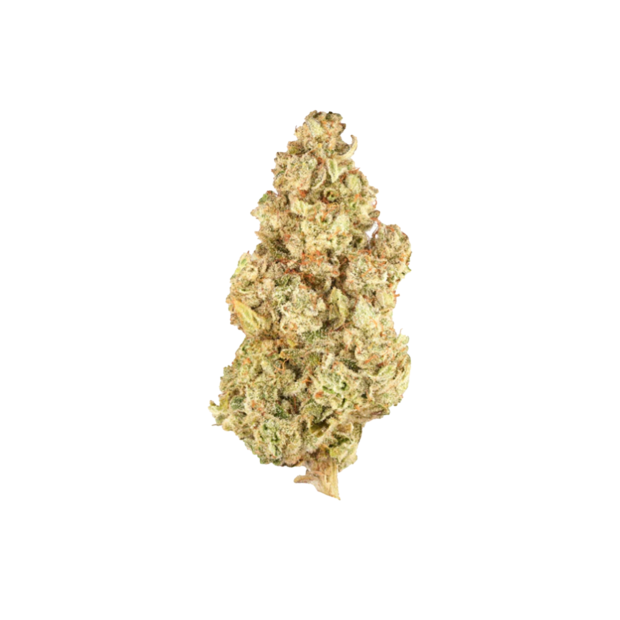 Simply Bare Organic : BC ORGANIC LEMON LOOPZ LTO 1 Simply Bare Organic : BC ORGANIC LEMON LOOPZ LTO