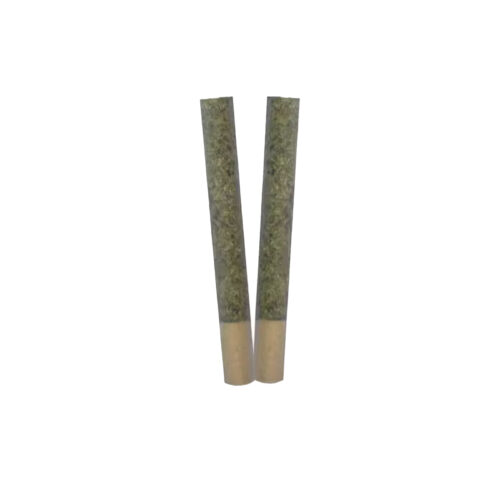 TRYGG - TRANCE PRE-ROLLS (ROTATIONAL) 2 x 1g
