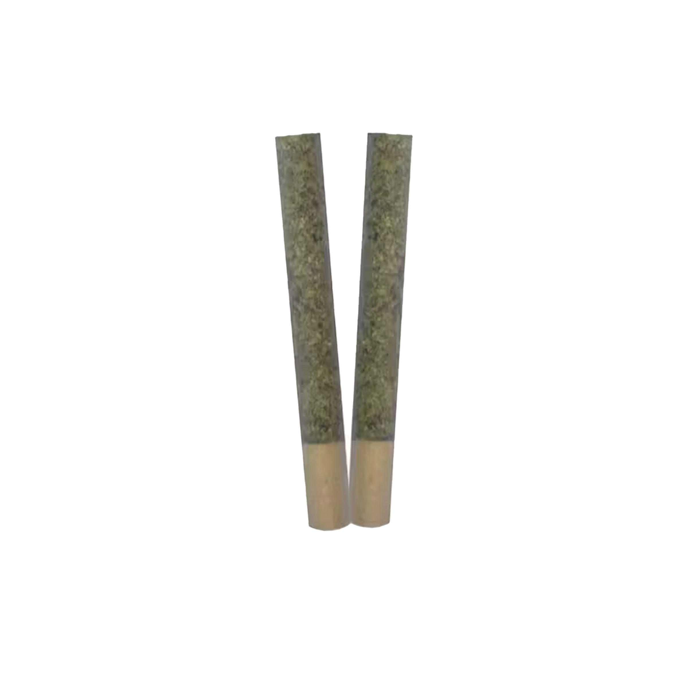 TRYGG-IGNITE PR-2X1G 1 TRYGG-IGNITE PR-2X1G