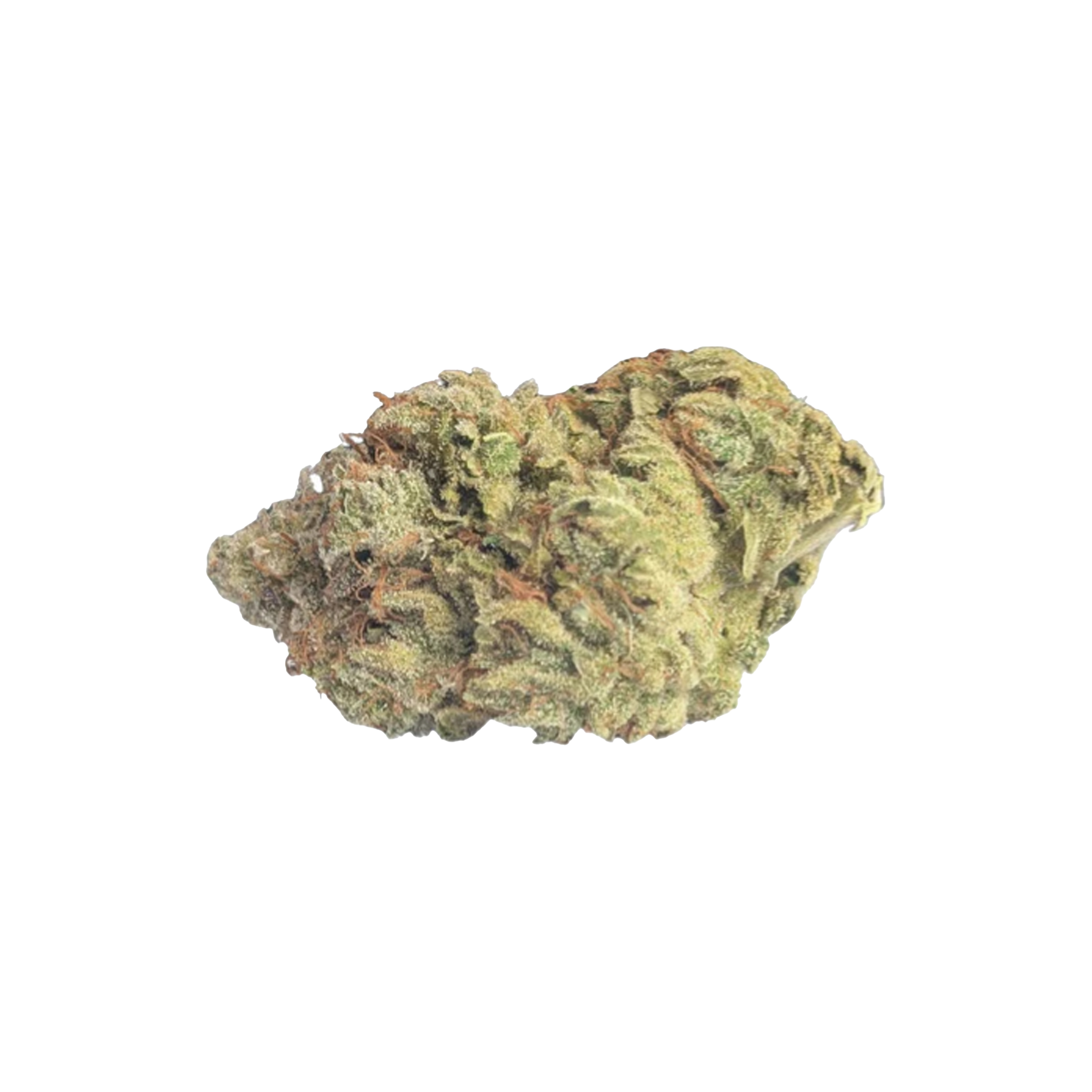 Undrground : VIOLATOR KUSH 1 Undrground : VIOLATOR KUSH