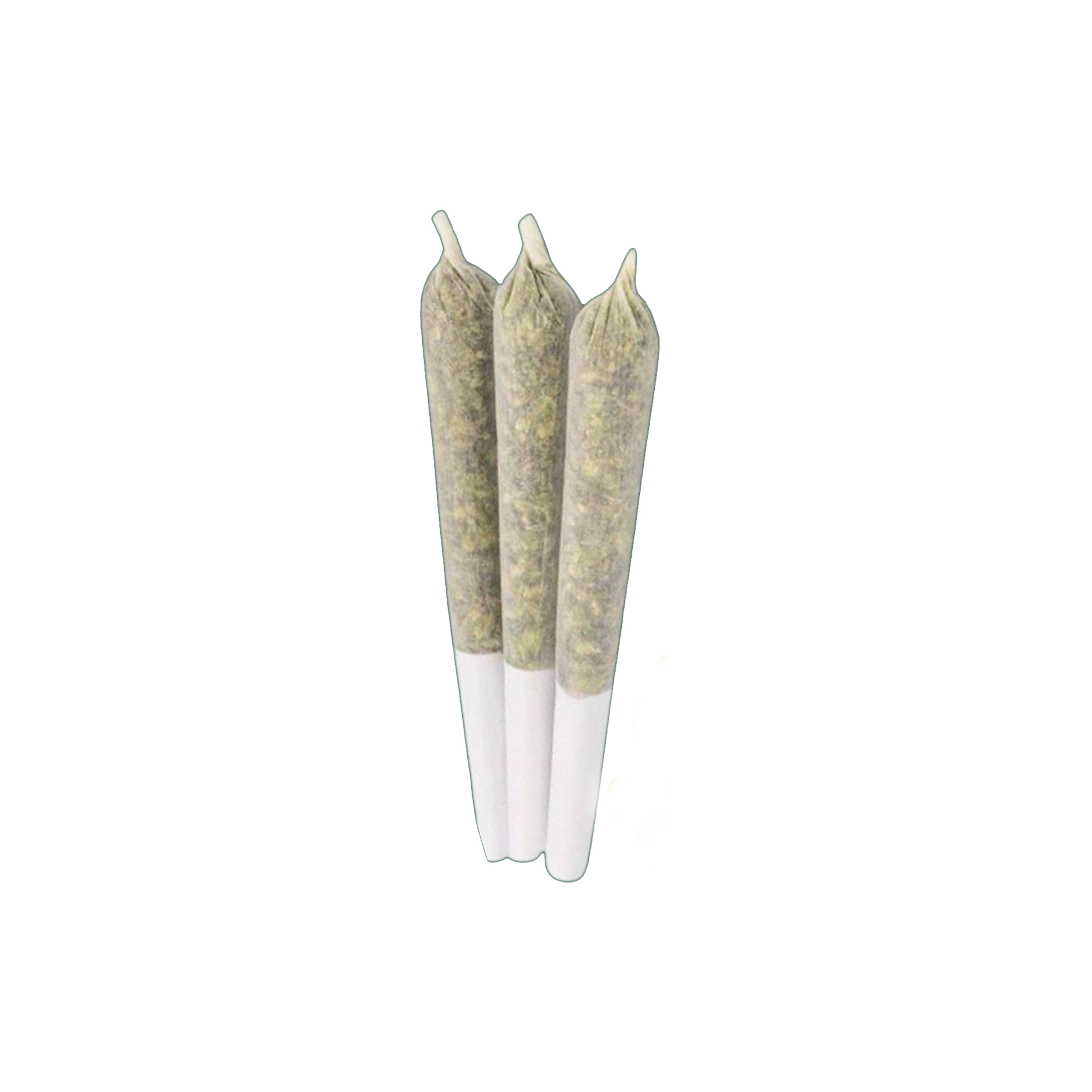 BC Weed Co . : ZOAP PRE-ROLLS (S16 x Rainbow Sherbet) - 10 x 0.5g 1 BC Weed Co . : ZOAP PRE-ROLLS (S16 x Rainbow Sherbet) - 10 x 0.5g