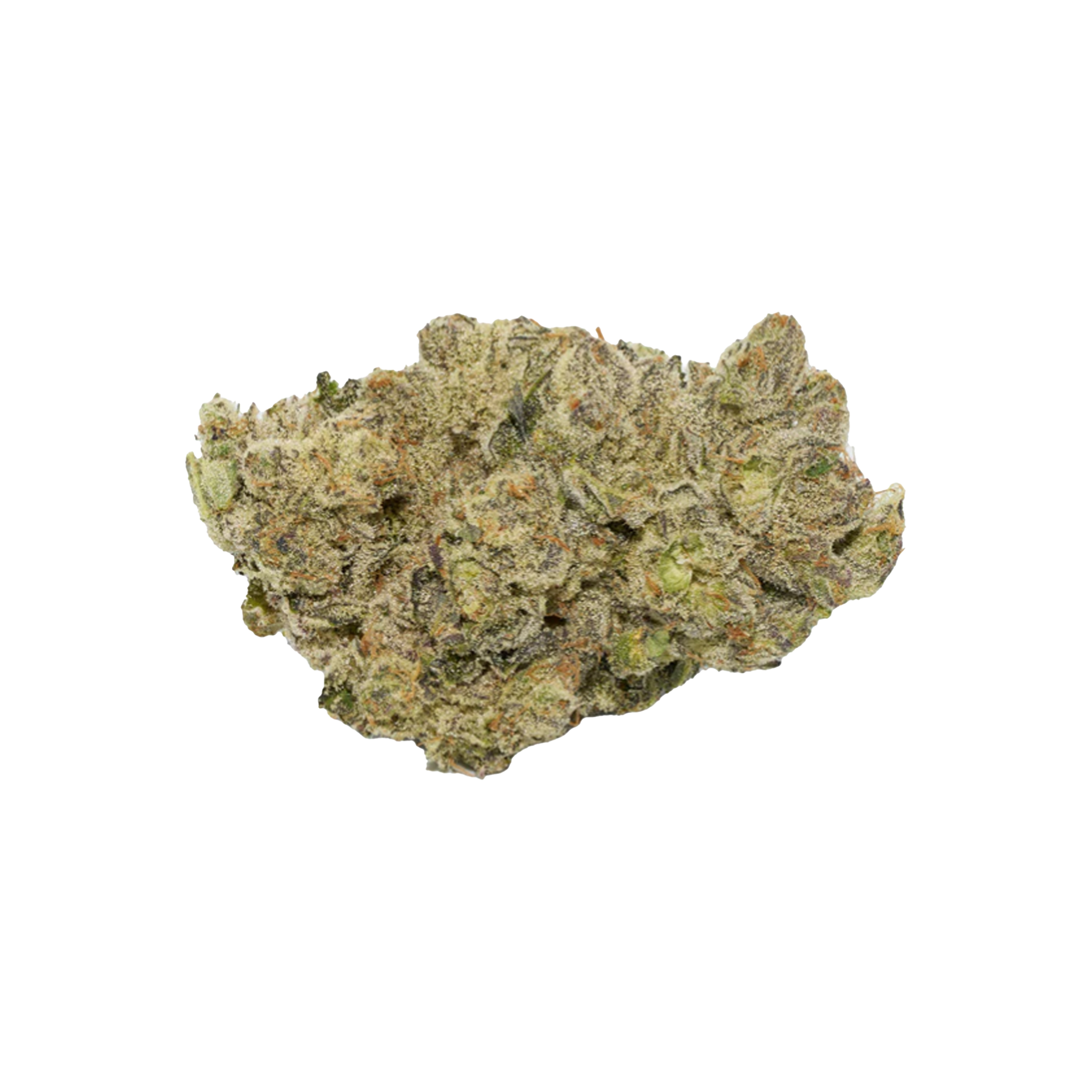 Broken Coast : SPRITS 26 LTO 1 Broken Coast : SPRITS 26 LTO