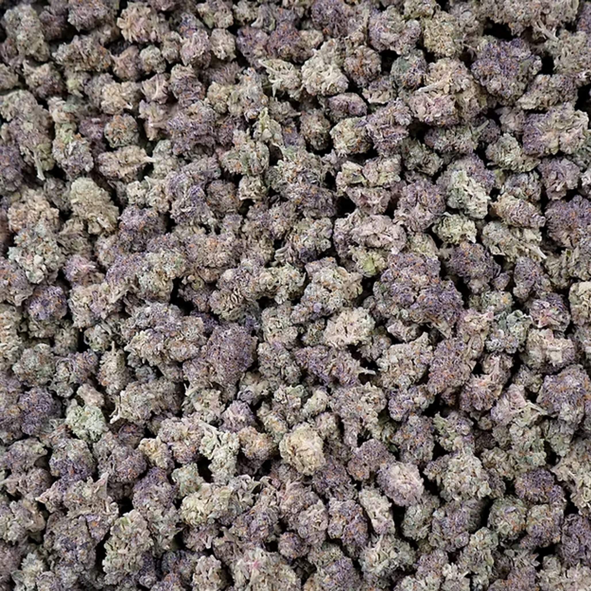 Fort 20 Farms : INDICA SMALLS 1 Fort 20 Farms : INDICA SMALLS