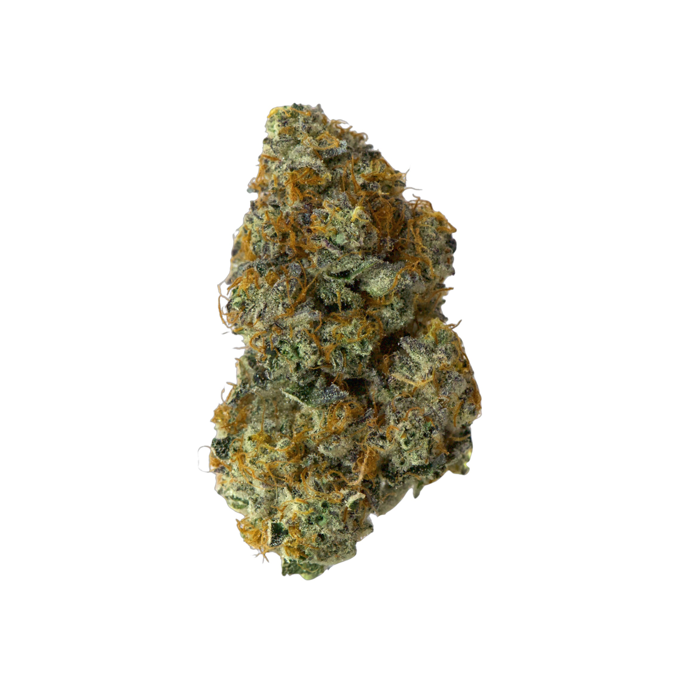 Island Genetics : SWAMP WATER FUMEZ 1 Island Genetics : SWAMP WATER FUMEZ