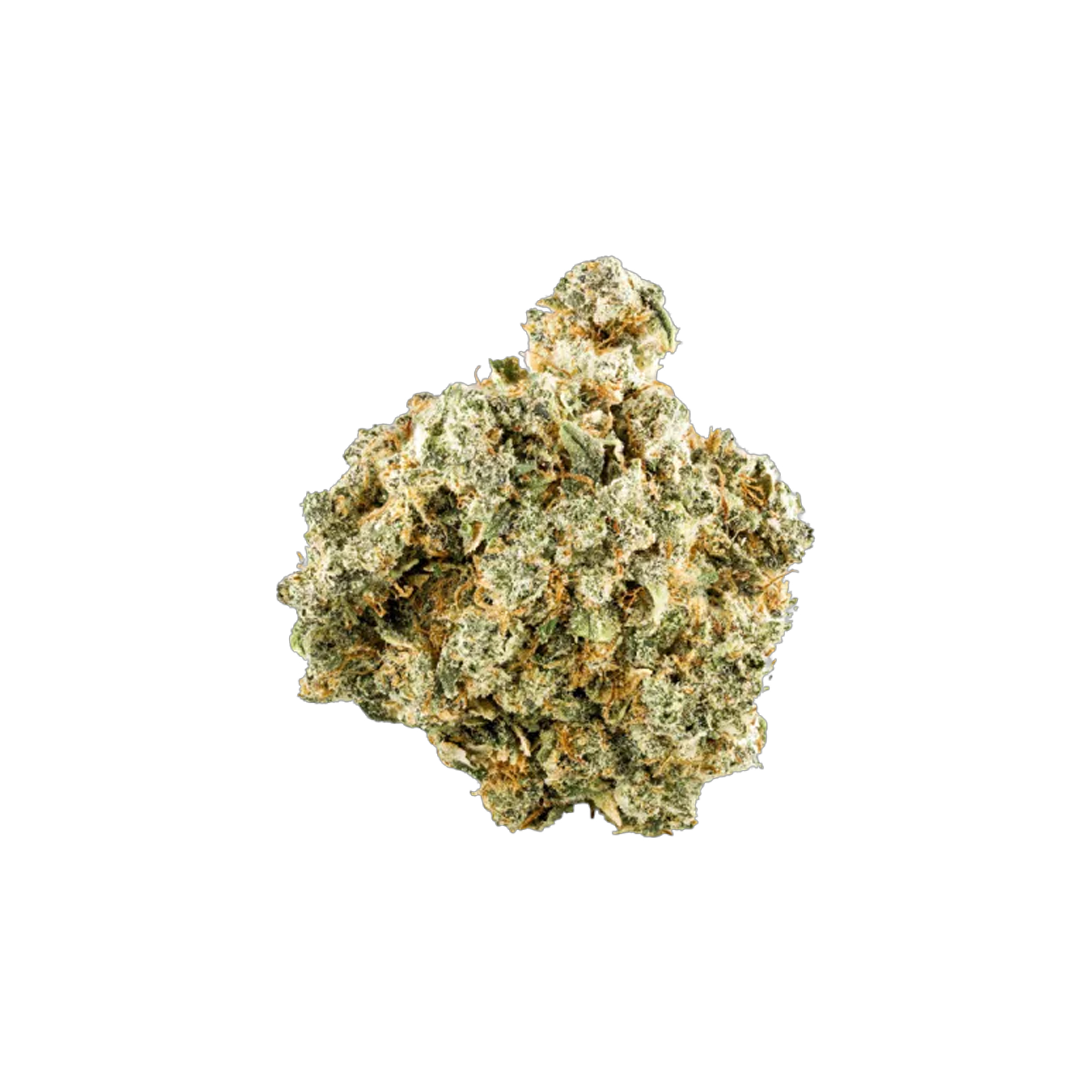 Choklit Park : CITRUS RIPPER 1 Choklit Park : CITRUS RIPPER