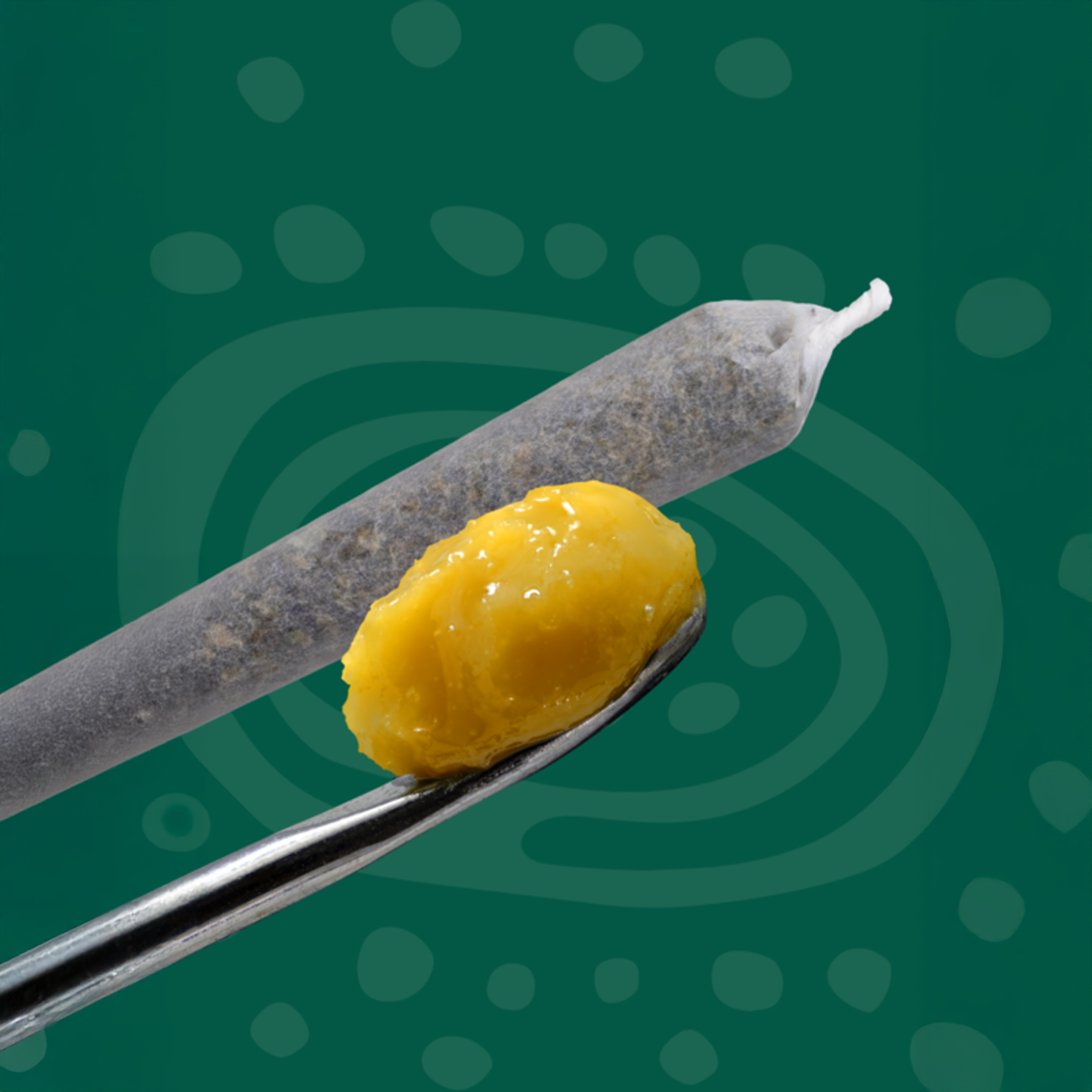 Great Gardener Farms : BARBARA BUD LIVE ROSIN INFUSED PRE-ROLL - 1 x 1g 1 Great Gardener Farms : BARBARA BUD LIVE ROSIN INFUSED PRE-ROLL - 1 x 1g