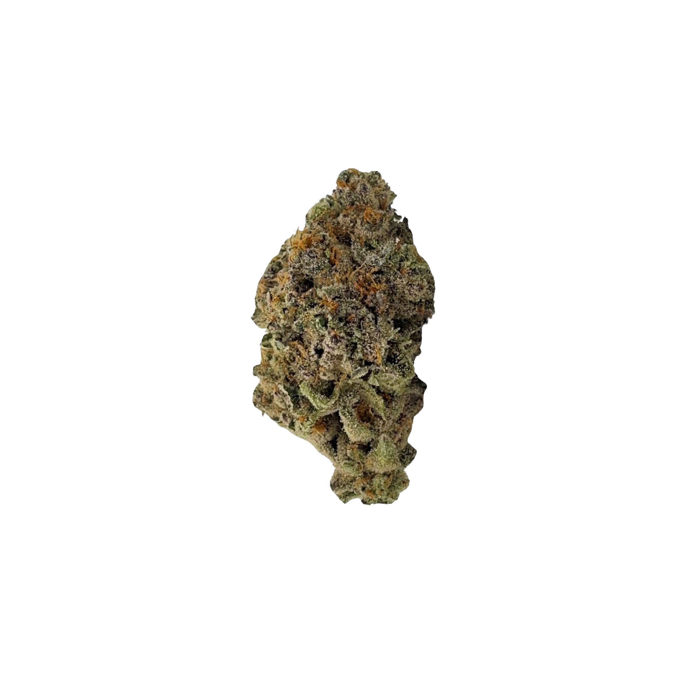 SaltSpring Magic : GUMMY BUNZ 2 SaltSpring Magic : GUMMY BUNZ - Image 2
