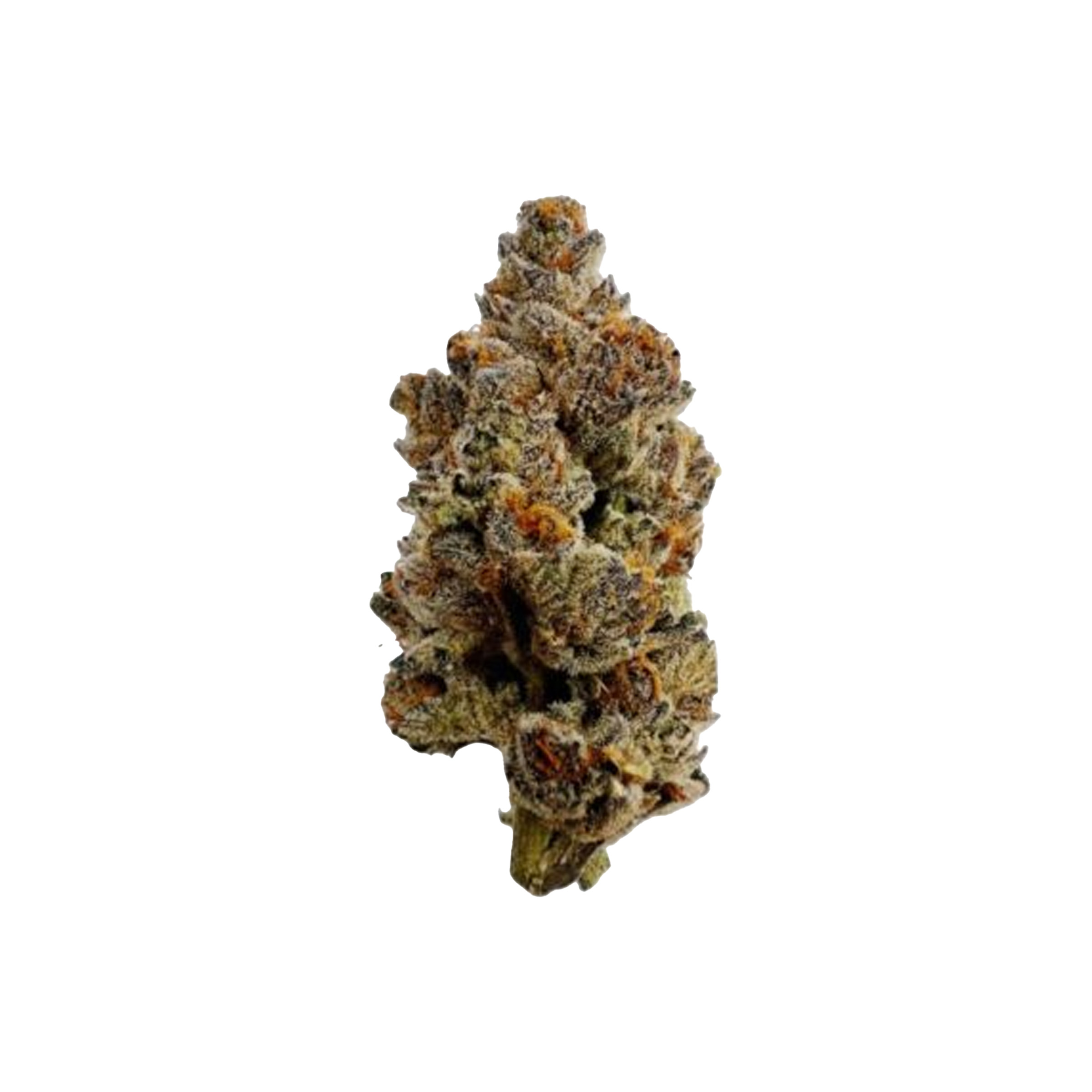 PureFire : COCOMINTS - 14g 1 PureFire : COCOMINTS - 14g