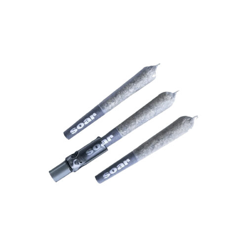 Soar : BRAIN CAKE PRE-ROLLS - 3 x 0.5g