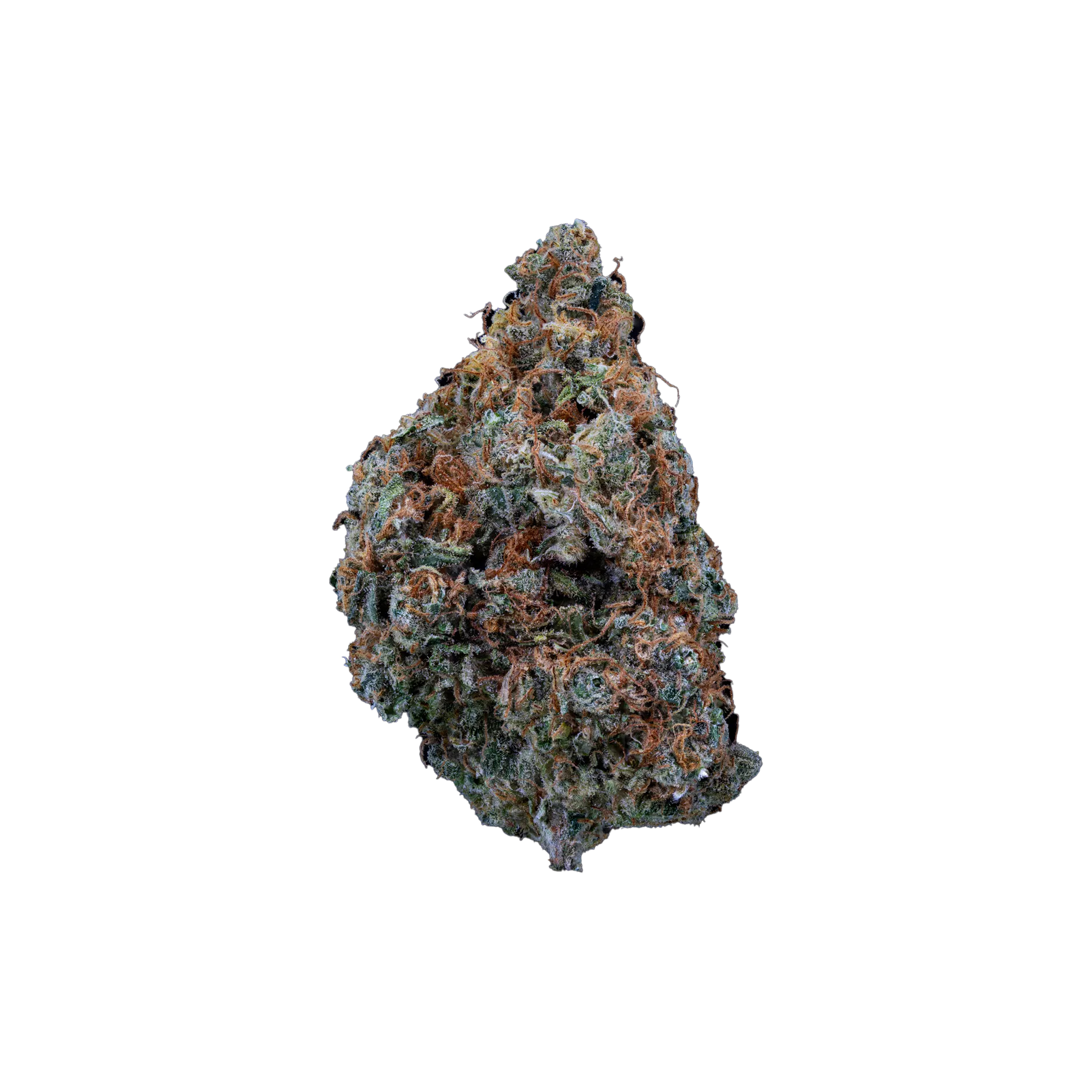 Sweetgrass : DIVINE INTERVENTION - 14g 1 Sweetgrass : DIVINE INTERVENTION - 14g