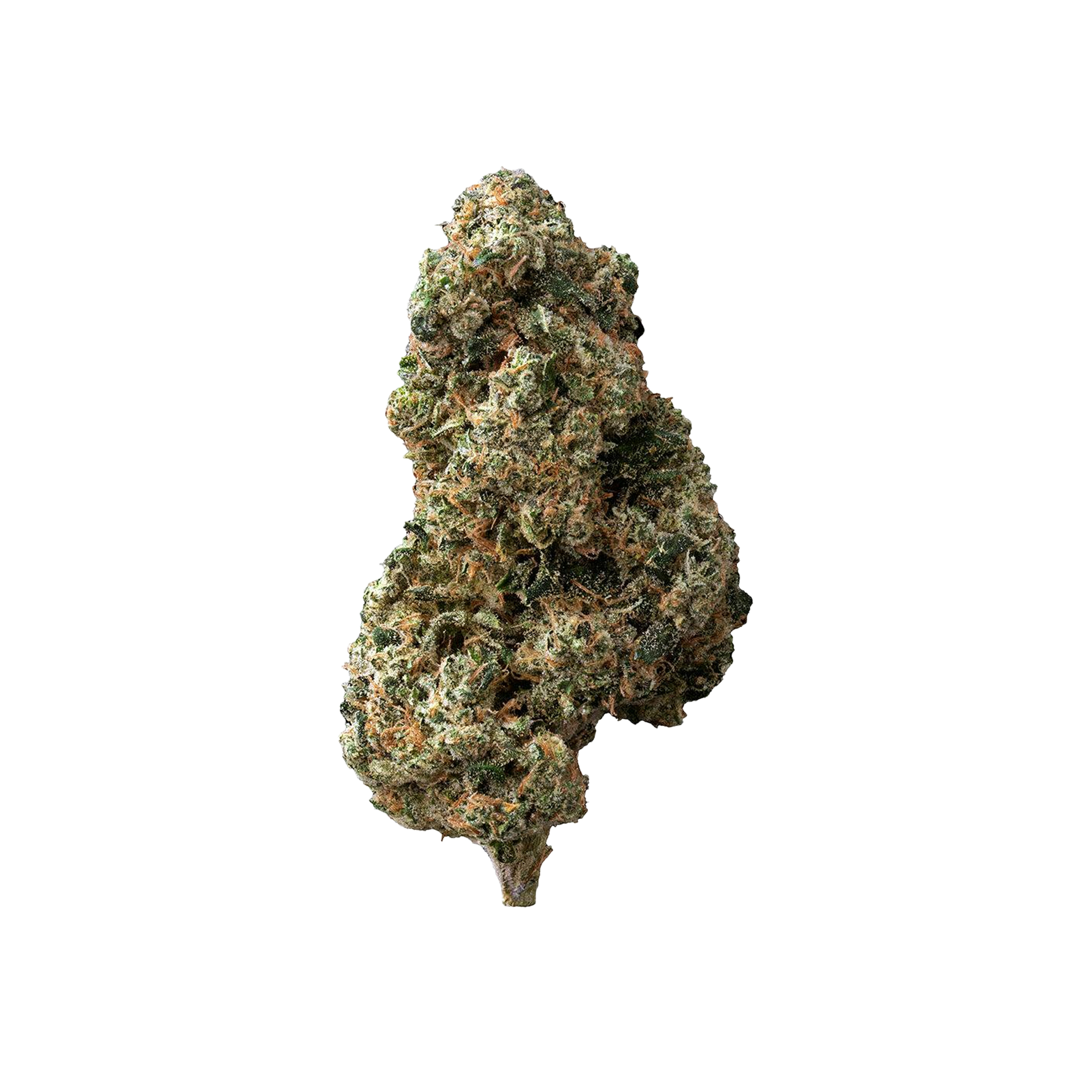 The Loud Plug : DOLCE MIA (PLATINUM GSC X PUNCH BREATH) - 28g 1 The Loud Plug : DOLCE MIA (PLATINUM GSC X PUNCH BREATH) - 28g