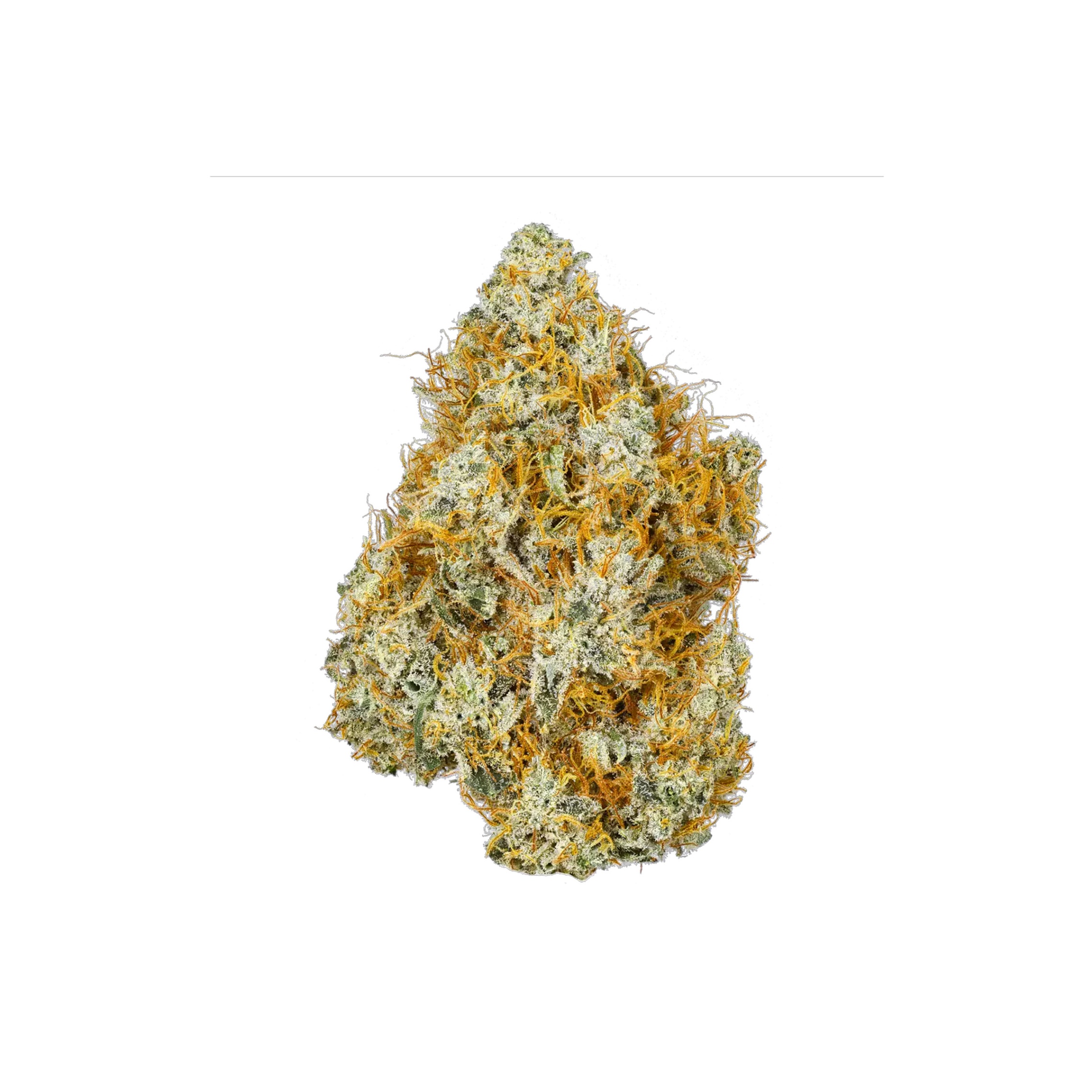 Woody Nelson : CITRUS SKY (Skywalker X Dr. Hoffman) - 3.5g 2 Woody Nelson : CITRUS SKY (Skywalker X Dr. Hoffman) - 3.5g - Image 2