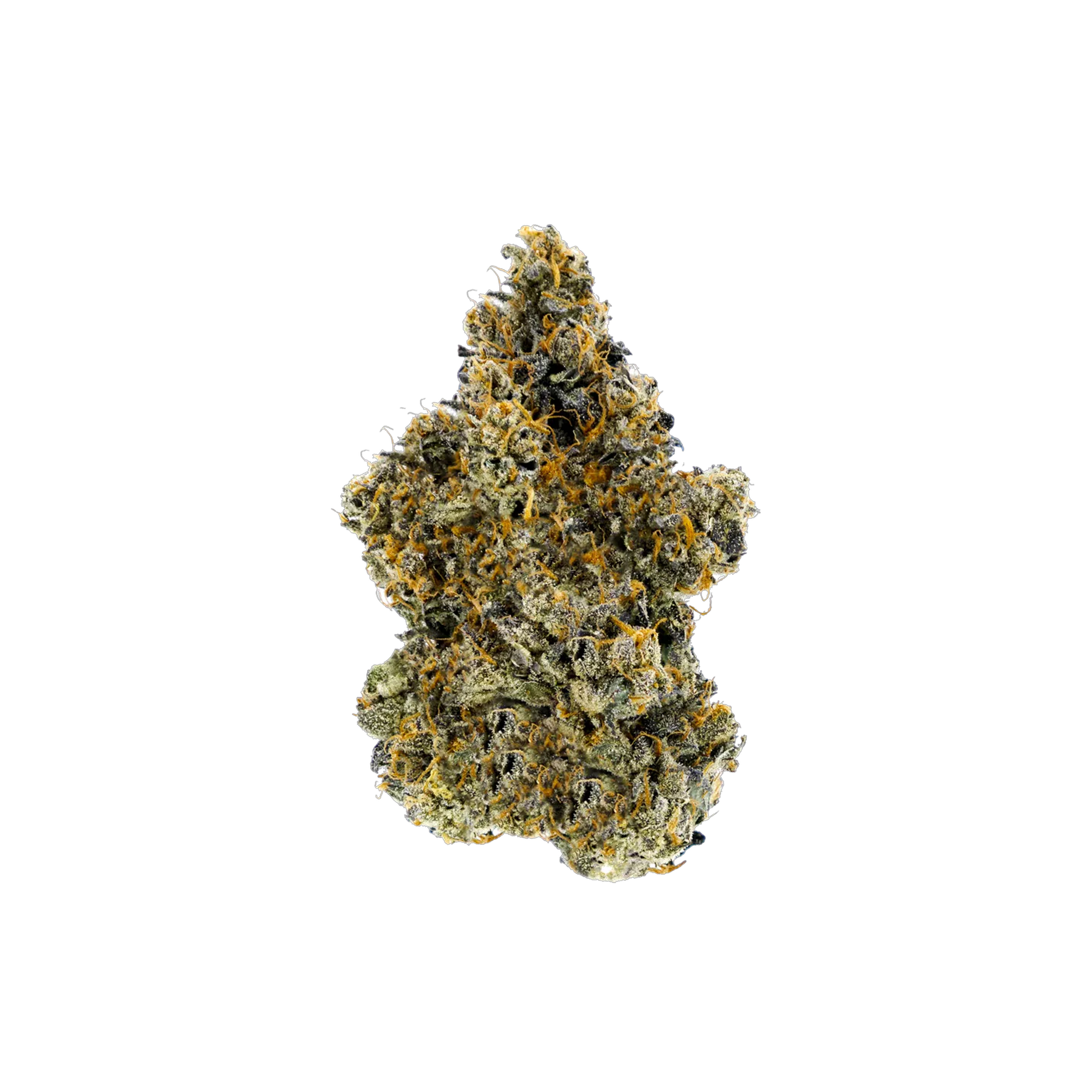 Woody Nelson : GUAVA BISCOTTI - 7g 1 Woody Nelson : GUAVA BISCOTTI - 7g