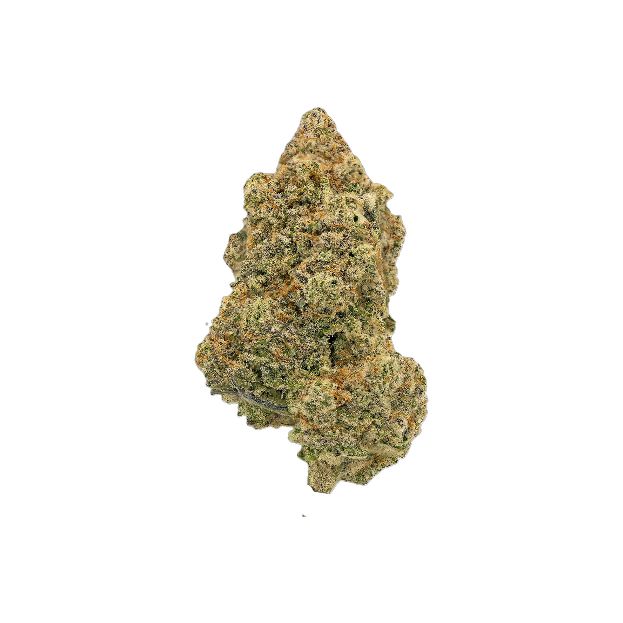 Woody Nelson : CITRUS SKY (Skywalker X Dr. Hoffman) - 3.5g 1 Woody Nelson : CITRUS SKY (Skywalker X Dr. Hoffman) - 3.5g