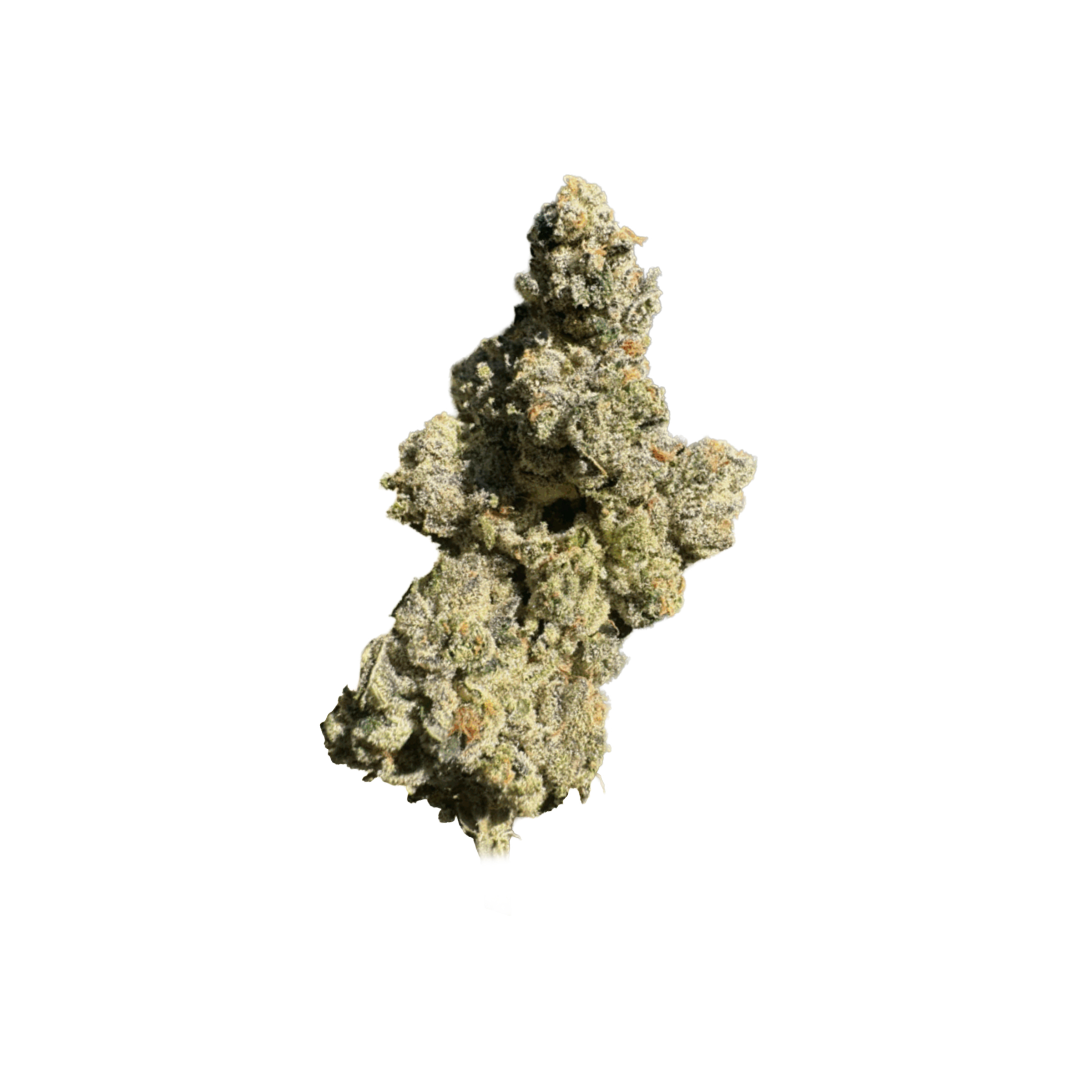 Salt Spring Magic : HIPPIE POP (GASTRO POP) - 14g 1 Salt Spring Magic : HIPPIE POP (GASTRO POP) - 14g