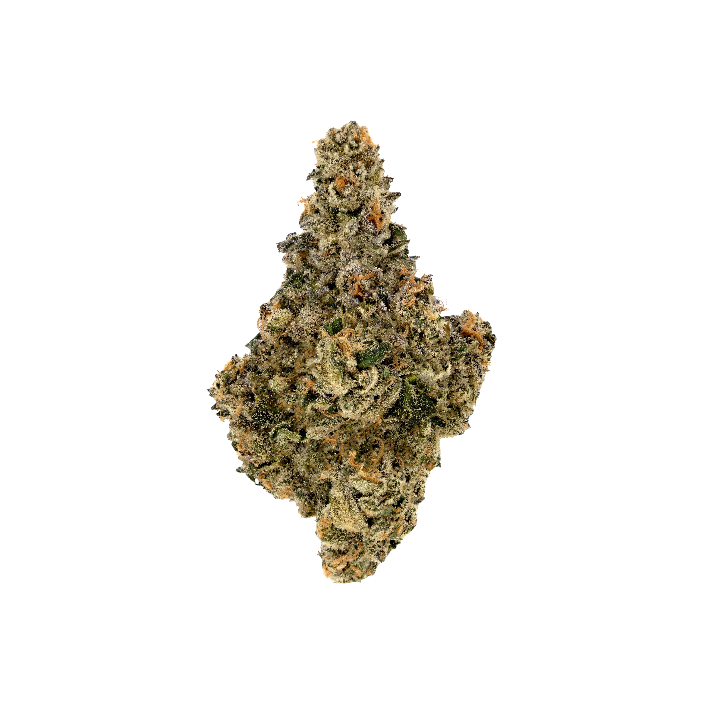 Amani Craft Cannabis : GASTRO POP - 14g 1 Amani Craft Cannabis : GASTRO POP - 14g