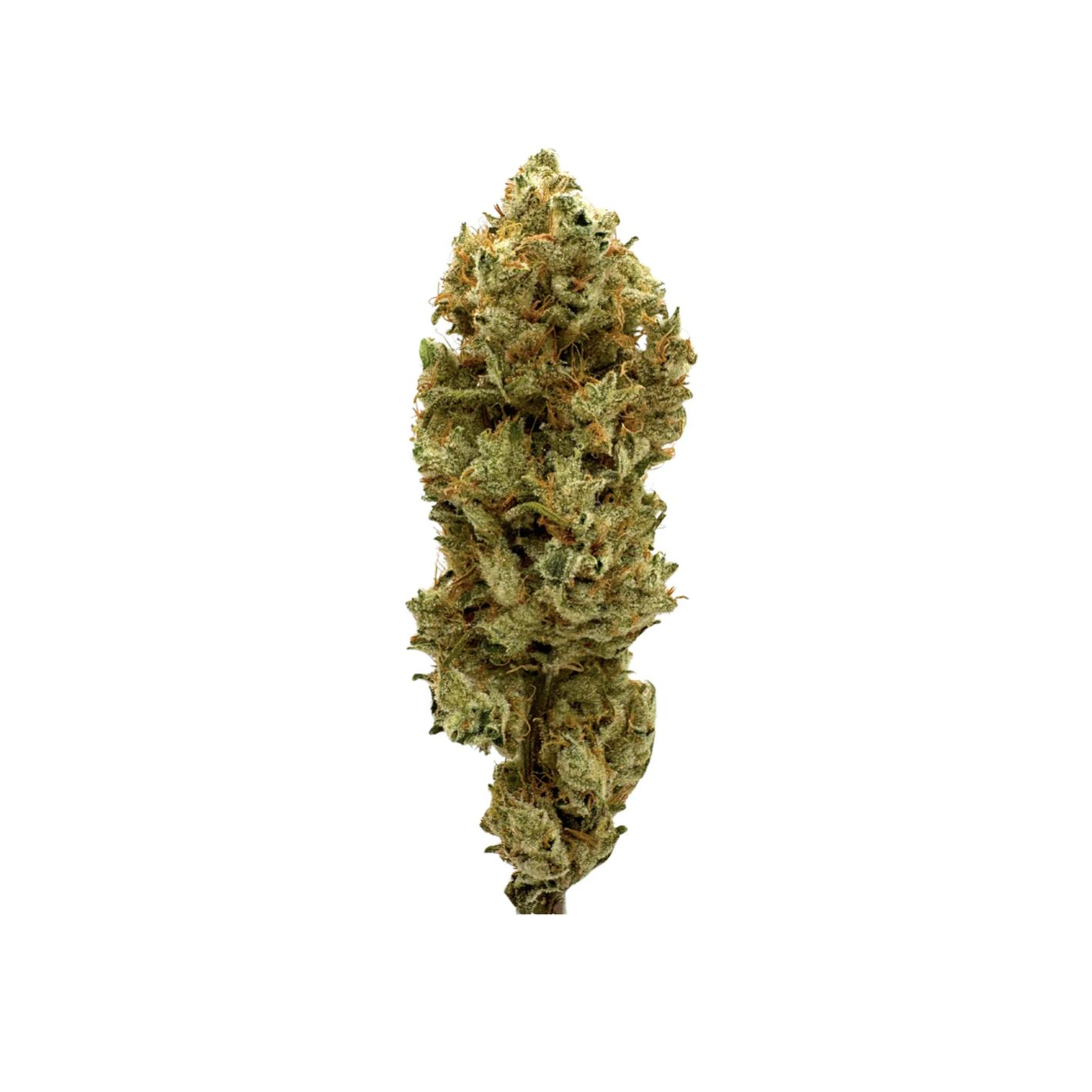 BC Weed CO. : HONEY BANANAS - 14g 1 BC Weed CO. : HONEY BANANAS - 14g