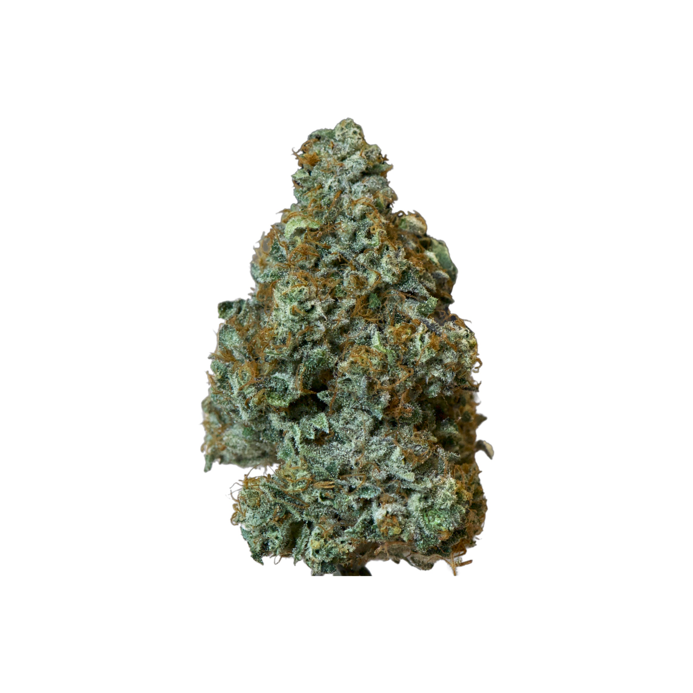 Island Genetics : KOOL GRAPES SMALLS - 3.5g 1 Island Genetics : KOOL GRAPES SMALLS - 3.5g
