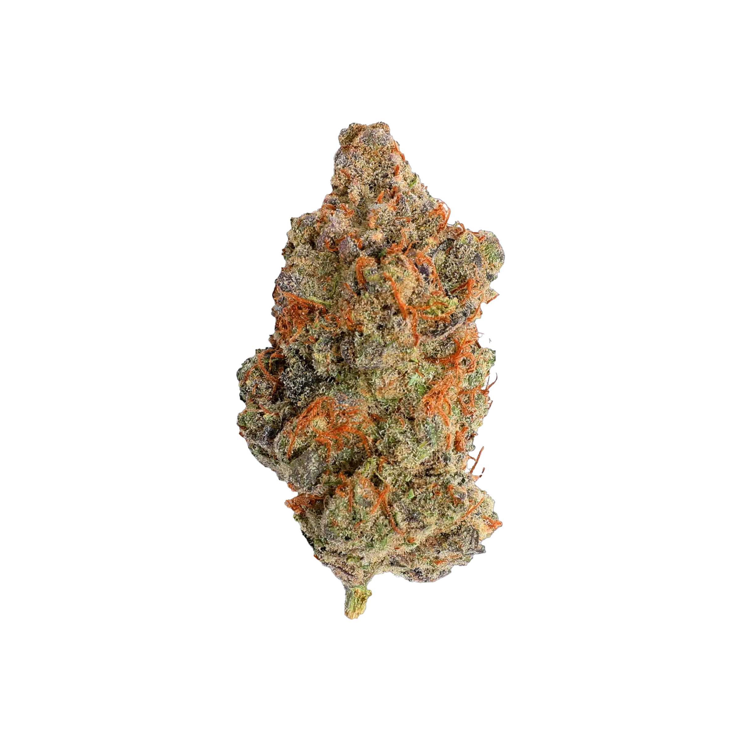 Salt Spring Magic : JELLY DONUTZ - 7g 1 Salt Spring Magic : JELLY DONUTZ - 7g