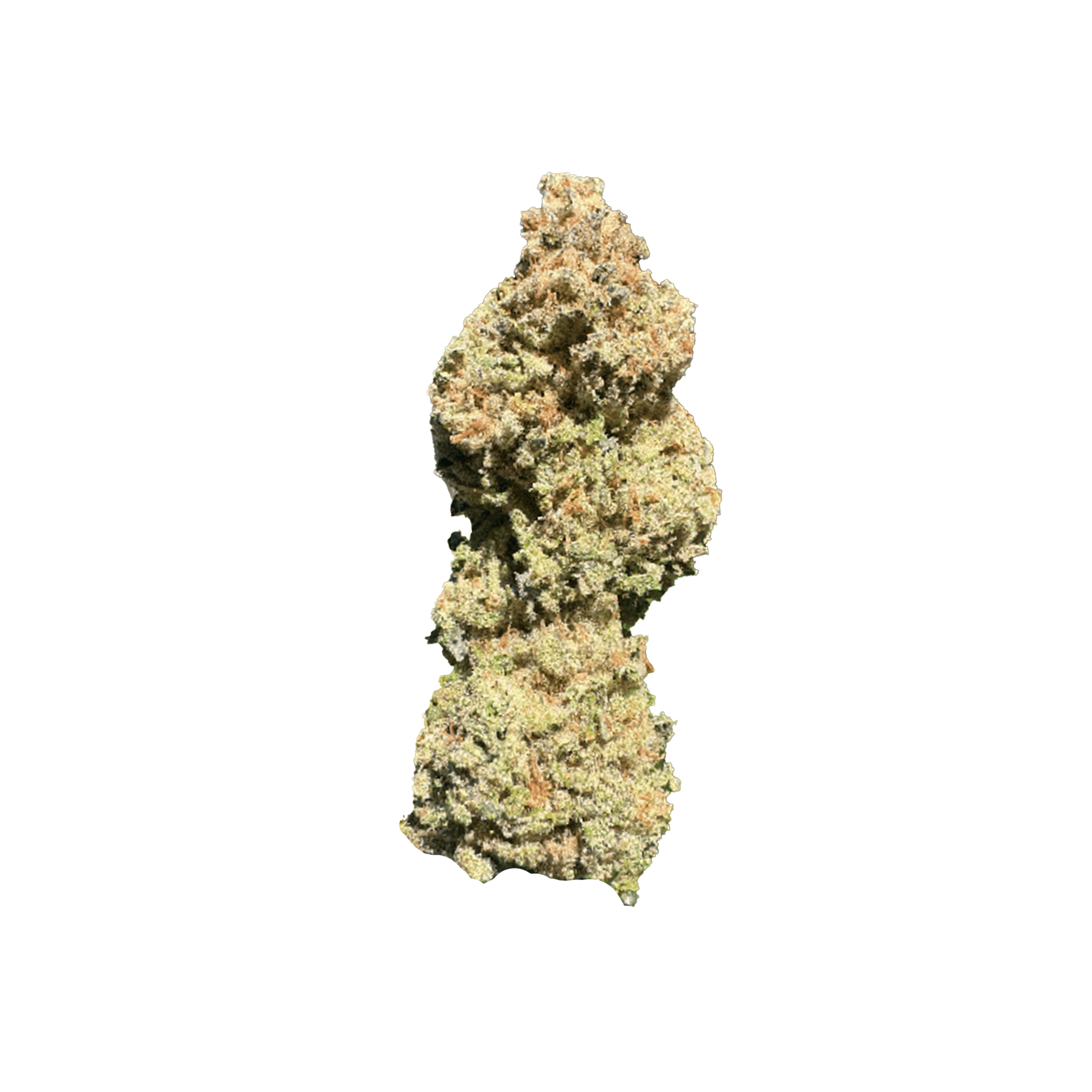 Salt Spring Magic : MAC DONUT - 3.5g 1 Salt Spring Magic : MAC DONUT - 3.5g